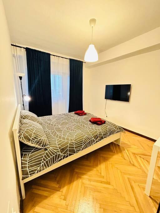 Cosy Apartment #12Lunipebega Timişoara Exterior foto